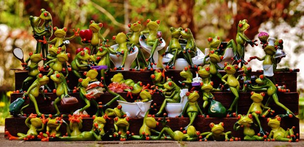 frogs-1372990_1920